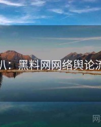 独家深扒：黑料网网络舆论流量密码