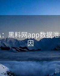 独家深扒：黑料网app数据泄露背后原因