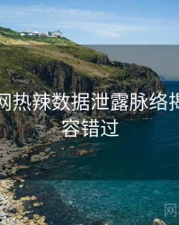 黑料官网热辣数据泄露脉络揭秘，不容错过