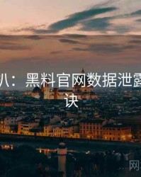 独家深扒：黑料官网数据泄露爆火秘诀