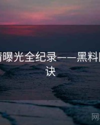 即时恋情曝光全纪录——黑料网爆火秘诀