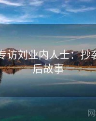 91官网专访刘业内人士：抄袭风波幕后故事