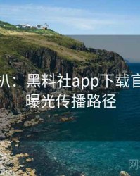 独家深扒：黑料社app下载官网恋情曝光传播路径
